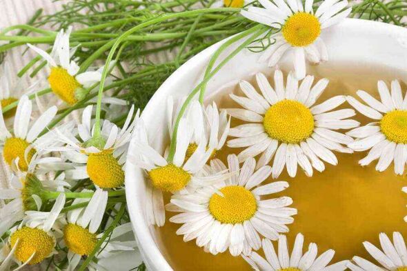 Decoction of chamomile to increase potency