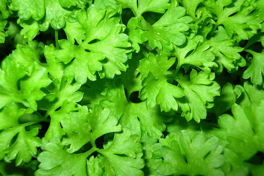 Parsley to increase potency